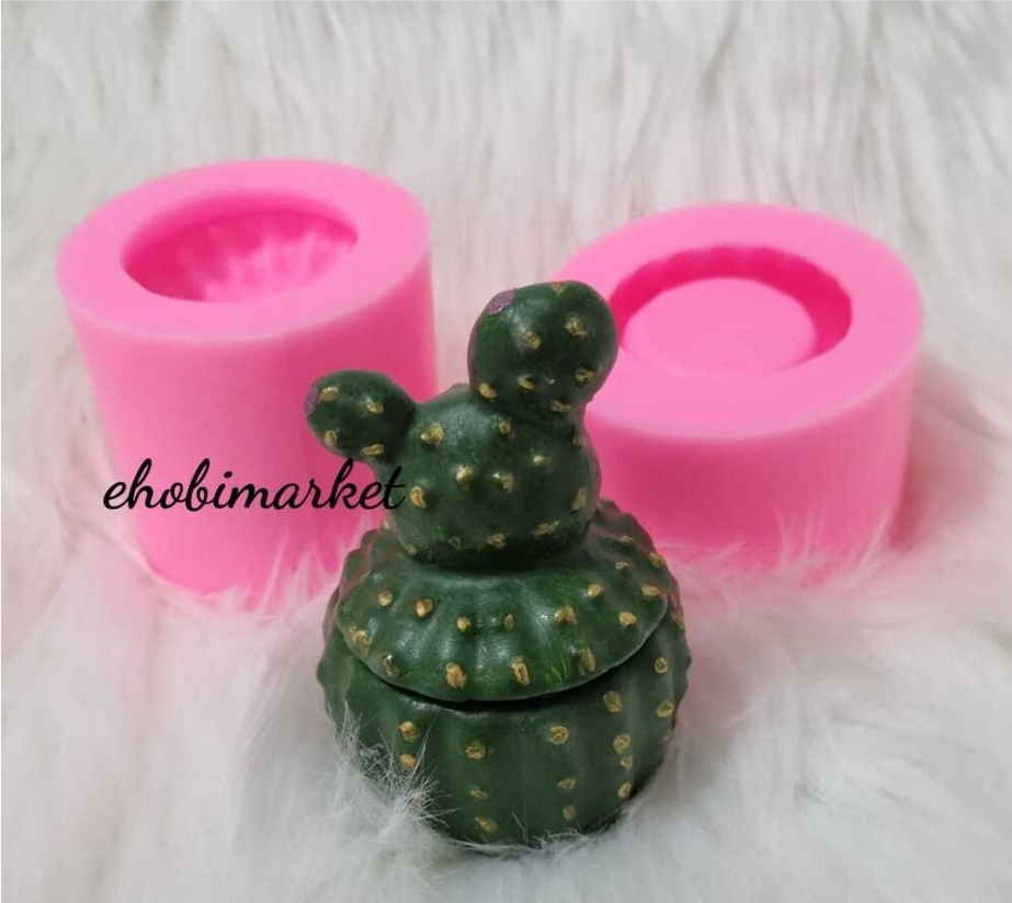 Kapakli kaktüs lokumluk silikon kalip