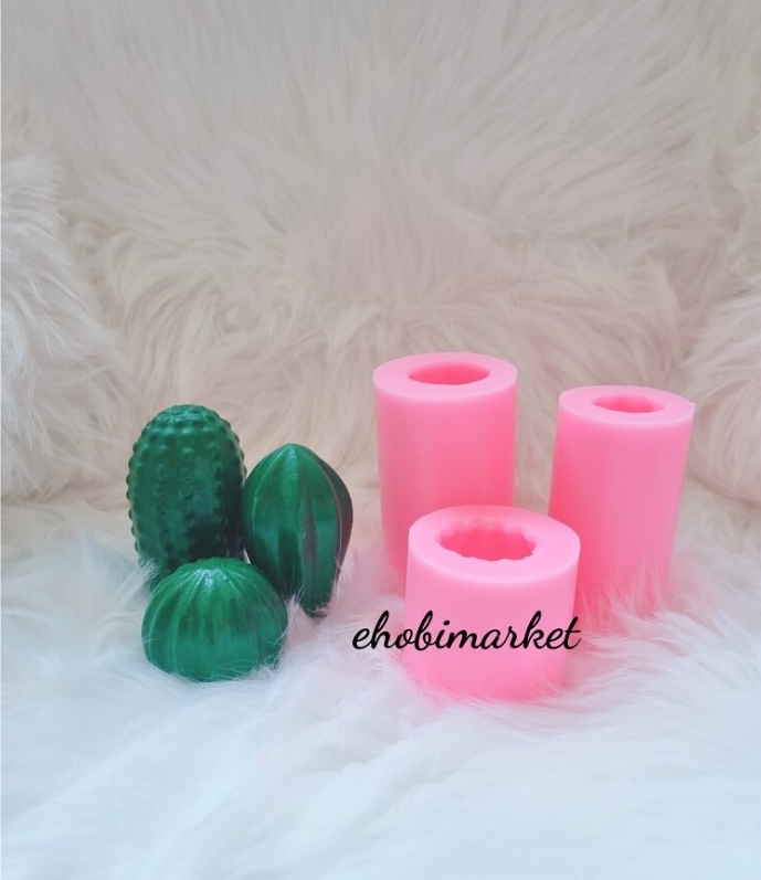 Üçlü kaktüs takim silikon kalip