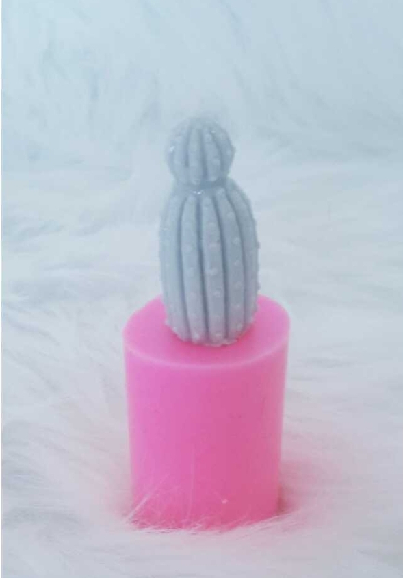 Minyatur kaktüs silikon kalip3